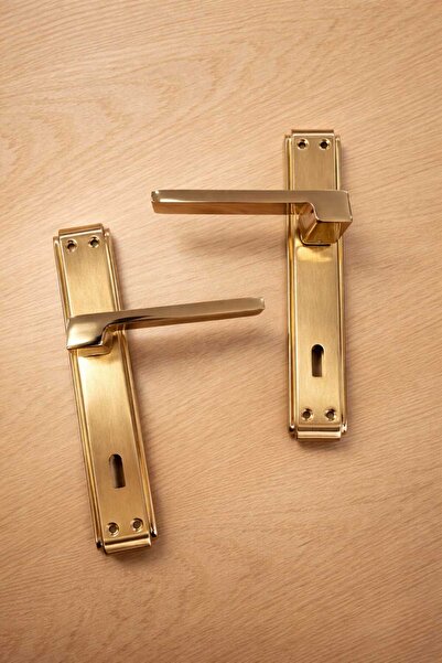 ARON مقبض باب فاخر من الألومنيوم / الفولاذ مع مرآة - لون ذهبي