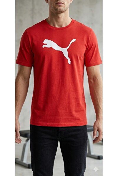 Puma Teamrise logo daily wear men's t-shirt