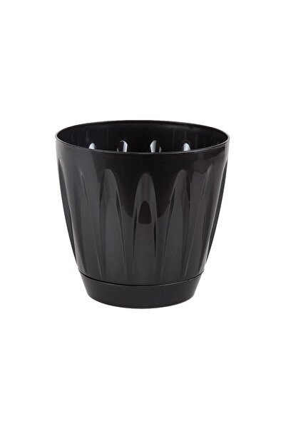 SERİNOVA Serinova Papatya Tabaklı Saksı 12 Lt