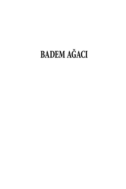 Pegasus Yayınları Badem Ağacı - Michelle Cohen Corasanti
