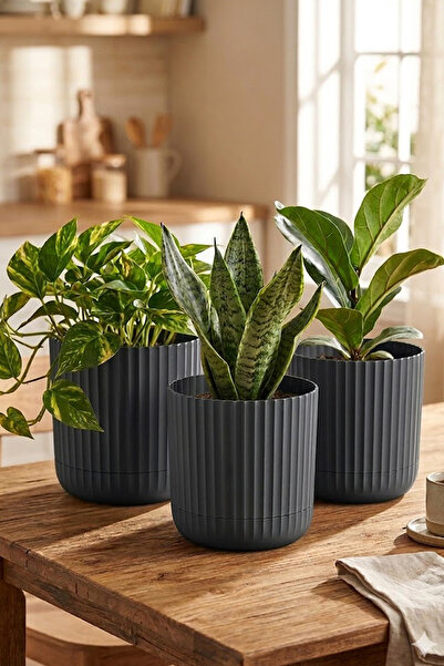 TEMMUZ HOME Zeraf Saksı No:1 – 3 Adet 1.3 Litre Tabaklı Masa ve Sehpa Üzeri S...