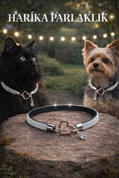 LOOL PREMİUM Parlak taşlı kedi kolyesi köpek kolyesi tasma