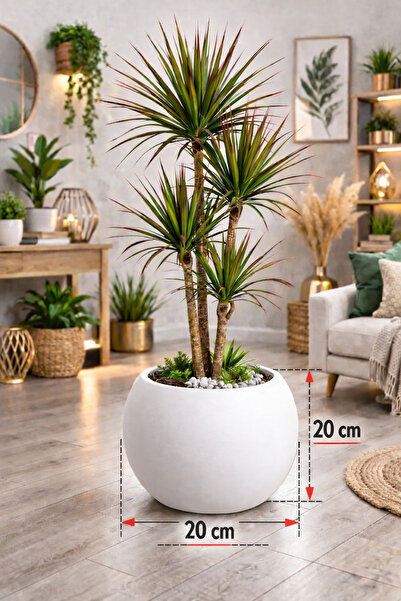 CANBOTANİK Küre Saksı 20 Cm Saksı Beyaz Plastik Saksı Çiçek Saksısı Kapı Önü