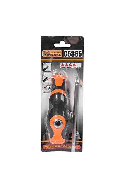 richmann exclusive Șurubelniță cu mâner în T și biți reversibili,