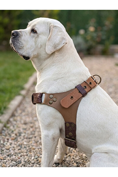 balkonda طوق للكلاب من فصيلة متوسطة وكبيرة الحجم قابل للتعديل من جلد المنك - ...