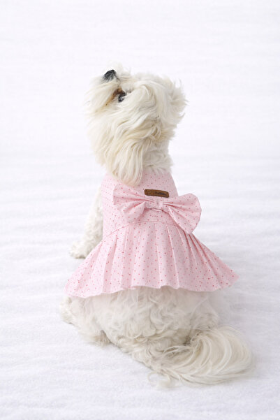 PATİLİNKA Kedi - Köpek Yazlık %100 Pamuklu Poplin Elbise - Kıyafet - Tişört