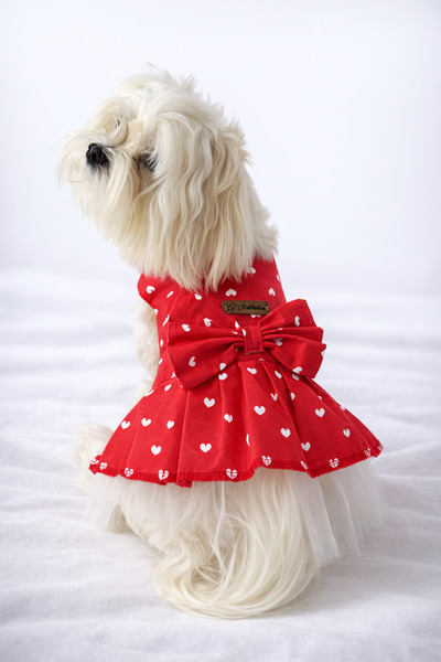 PATİLİNKA Kedi - Köpek Yazlık %100 Pamuklu Poplin Elbise - Kıyafet - Tişört