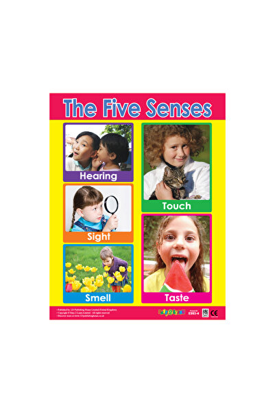 123Publishing House الحواس الخمس - لوحة جدارية باللغة الإنجليزية
