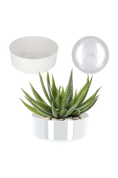 KADAX Ghiveci de flori, capac pentru ghiveci, bol alb, pentru aranjamente, ro...