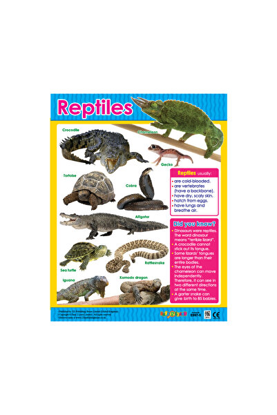 123Publishing House الزواحف - مخطط حائط باللغة الإنجليزية