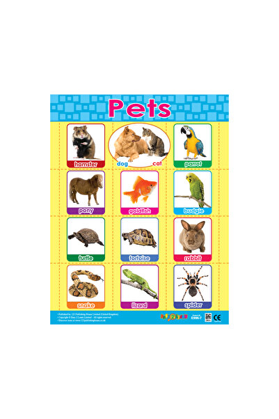 123Publishing House الحيوانات الأليفة - لوحة جدارية باللغة الإنجليزية