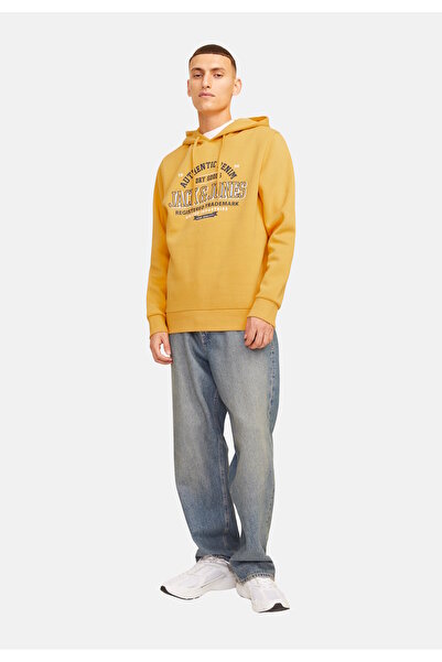 Jack & Jones Kapuzenpullover LOGO Hoodie
