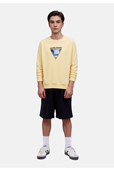 Jack & Jones Junior Pullover PERRY Sweatshirt