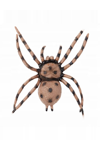 Evendi Spider Figurine