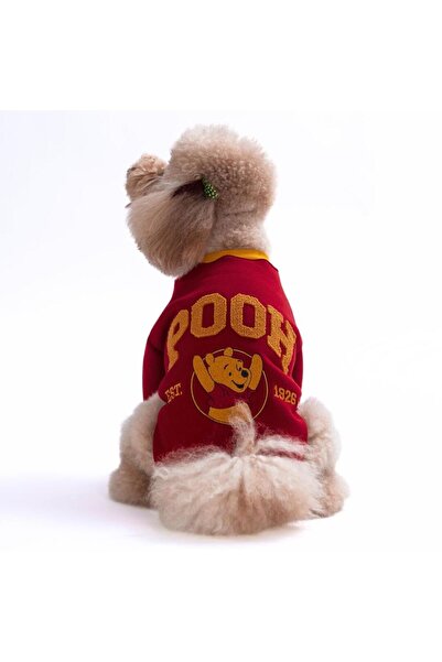 Pawstar Bordo Pooh Honey Dog Sweatshirt Dog Sweatshirt Dog Outfit Cat Outfit