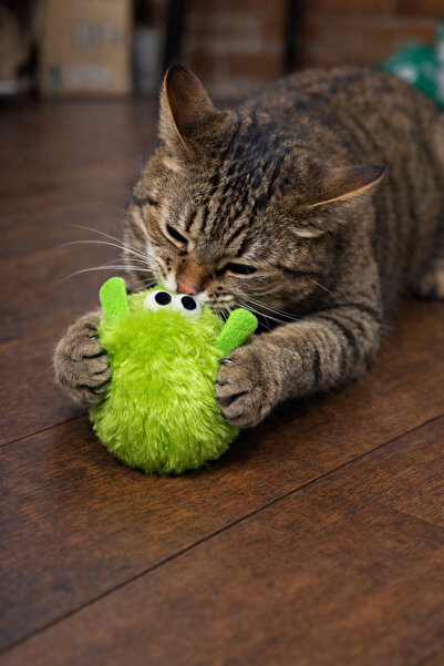 mastercat Fluffy Munch Cat Mouse Toy That Houses Cat Grass