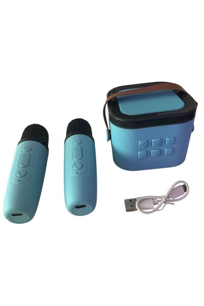 ADIRI SHOP Portable Karaoke Speaker with 2 Wireless Microphones, Bluetooth, R...