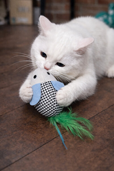mastercat Matatabili Sıçra-Kavra Entertainment Series Cat Toy