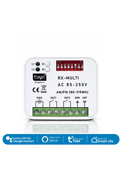 ALPSMART AS865 Wi-Fi ve 433 Mhz Akıllı Tuya Destekli Kontrol Kartı (Çift Kanal)