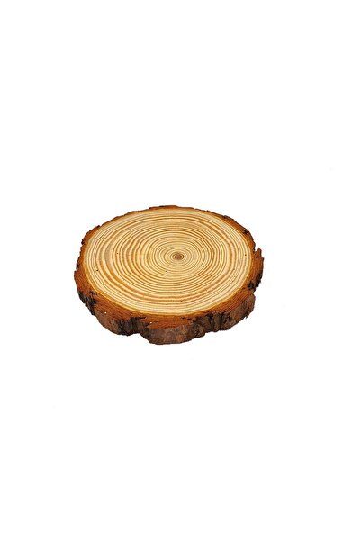 decotoys Wood slice 1pc 18-20 cm