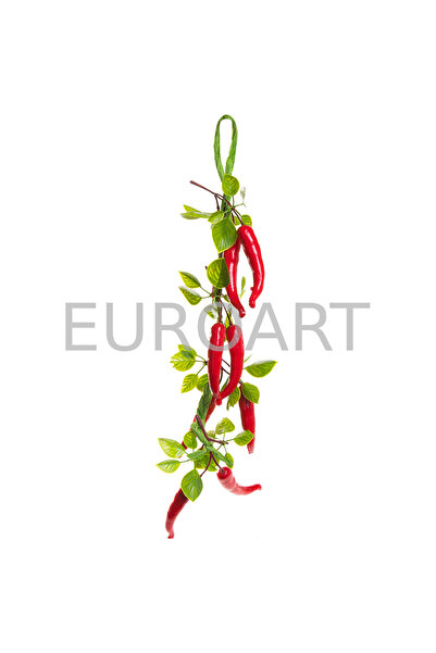 decotoys ardei iute decor pe funie