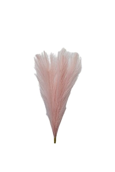 decotoys Creanga de pampas 75cm roz pal