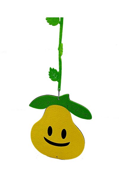 decotoys Ghirlanda fetru fructe 8/set