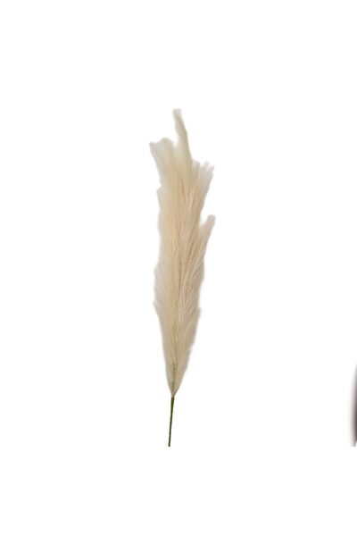 decotoys Creanga de pampas 110cm crem