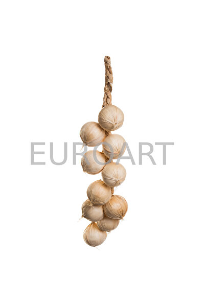 decotoys Usturoi decor pe funie