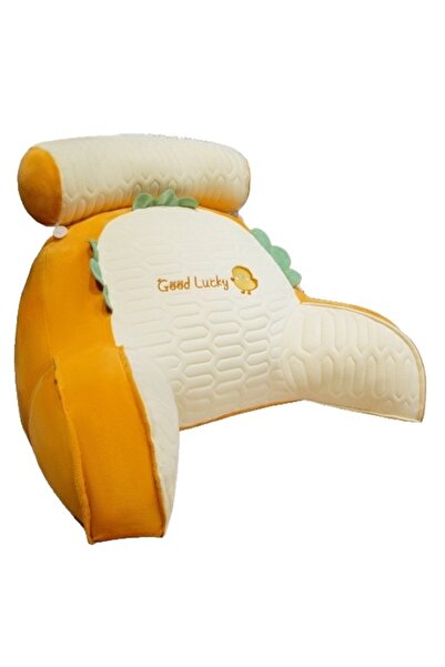 Avaleea Multifunctional Pillow, Bed Backrest, Lumbar Protection, Medium Size,...