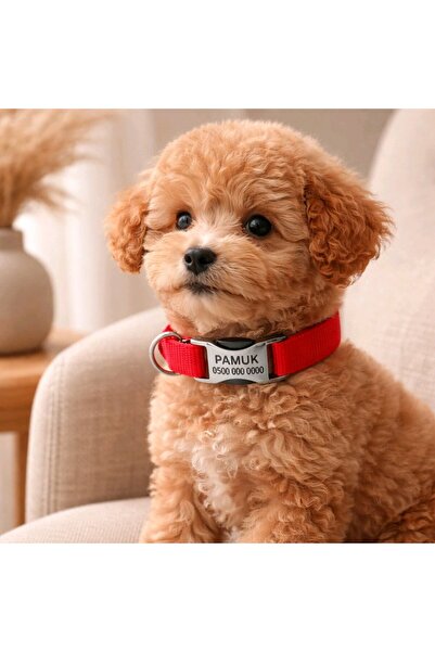 Ayz Markalama Metal kilitli küçük ırk köpekler için tasma, isimli köpek tasma...