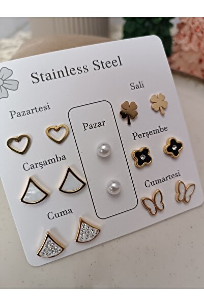 NAS fashion Steel Weekly Earring Set with Different Models for Every Day of t...