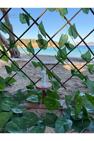 Ibizaloe Stick reparator buze