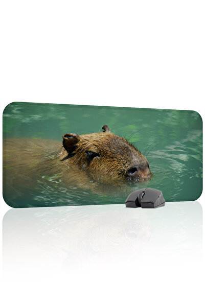 mousepad bastir Capybara Non-Slip Stitched Rubber Gaming Mousepad V2 - 70X30 ...
