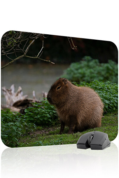 mousepad bastir Capybara Non-Slip Stitched Rubber Gaming Mousepad V5 - 48X40 ...