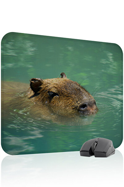 mousepad bastir Capybara Non-Slip Stitched Rubber Gaming Mousepad V2 - 48X40 ...