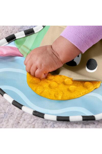 FISHER PRICE Su Samuru Karınüstü Oyun Matı JHB44
