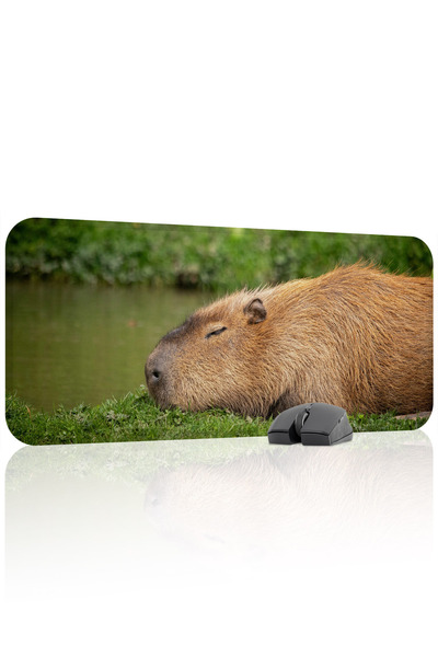 mousepad bastir Mousepad pentru jocuri Capybara antialunecare din cauciuc cus...