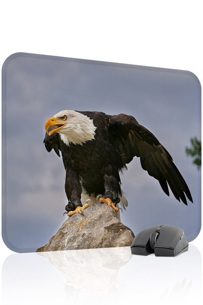 mousepad bastir Kartal Αντιολισθητικό Ραμμένο ελαστικό mousepad παιχνιδιών V2...