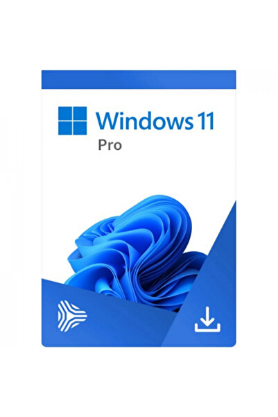 MICROSOFT Windows 11 Professional 64-bit, Αγγλικά, OEM, DVD