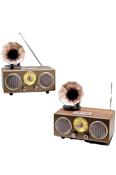 ataşbey RT-748 Şık Özel Tasarım Gramafon Görünümlü Klasik Nostaljik Bluetooth...