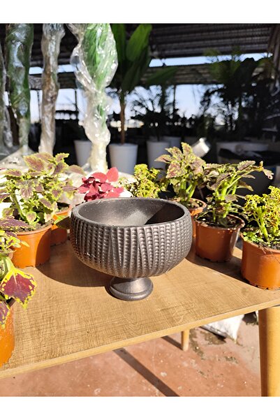 Yades Antrasit Eskitme Ayaklı Saksı - Dekoratif Kadeh Model Sukulent Ve Kaktü...