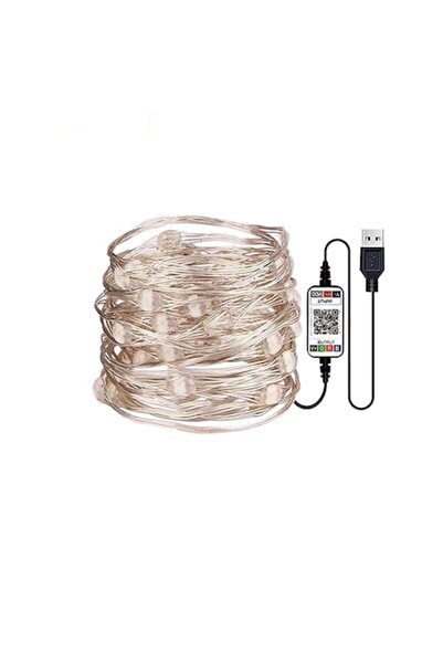 OEM Χριστουγεννιάτικη εγκατάσταση LED, RGB, DC5V, τροφοδοσία USB, 12m