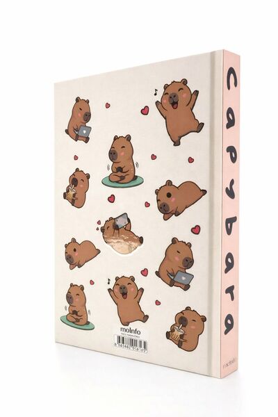 4nio Patterned Hard Cover Striped Notebook