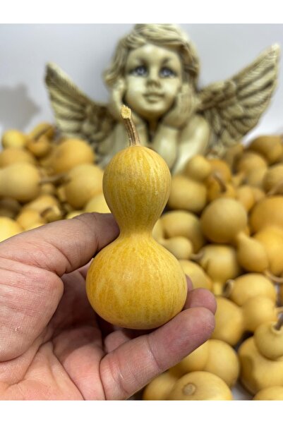 moontime alaçatı Şık ve doğal su kabağı, pratik taşıma ve saklama için ideal