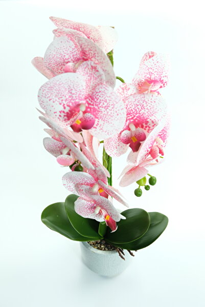 OEM Artificial orchid in a pot