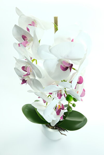 OEM Orhidee artificială în ghiveci
