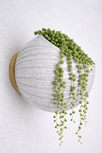 HANART Dekoratif modern duvar saksısı duvara monte saksı mermer desen