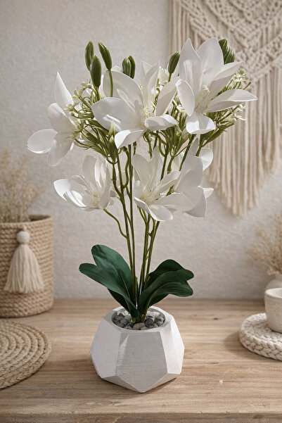 Lineva Beyaz Yapay Zambak Çiçeği Beton Saksıda – Dekoratif,Geometrik Saksı, S...