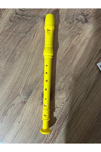 Moni Helvacıoğlu Flüt – Okul İçin Başlangıç Seviyesi Blok Flüt (Soprano) Kılıflı